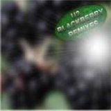 U2 - Blackberry