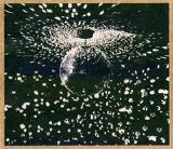 Young, Neil - Mirror Ball