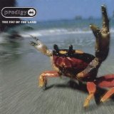 Prodigy - The Fat Of The Land