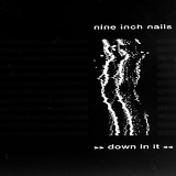 Nine Inch Nails - Down In It (Halo One)