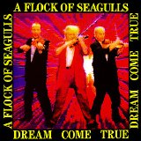 A Flock Of Seagulls - Dream Come True
