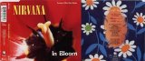 Nirvana - In Bloom [Single]