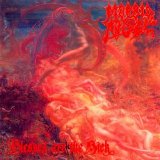 Morbid Angel - Blessed Are The Sick