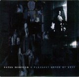 Fates Warning - A Pleasant Shade Of Gray