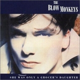 Blow Monkeys - She Was Only A Grocer's Daughter