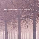 Peter Bruntnell - Normal For Bridgwater