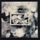 Cold Water Flat - Listen