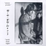 Sonic Youth - Hold That Tiger