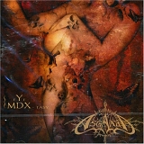 Asgaard - Eyemdx-Tasty