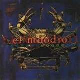 Eleventh Dream Day - El Moodio