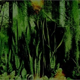 The Promise Ring - Wood/Water