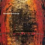 Nine Inch Nails - halo 07 - march of the pigs