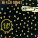 The Wallflowers - Bringing Down the Horse
