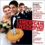 The Wallflowers - American Wedding