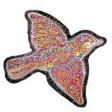 Widespread Panic - 'Til The Medicine Takes