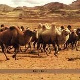 Kete Kuf - Ahava Raba