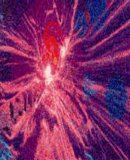 UVX - UVX