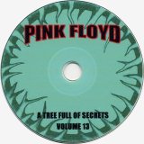 Pink Floyd - Rarities: A Tree Full Of Secrets Volume 13