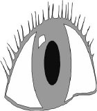 Dilate - Dilate