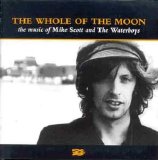 The Waterboys - The Whole of the moon - The music of Mike Scott and The Waterboys