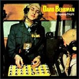 David Behrman - Leapday Night