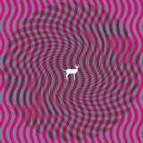 Deerhunter - Cryptograms