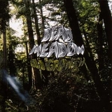 Dead Meadow - Old Growth