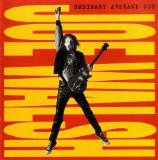 Joe Walsh - Ordinary Average Guy