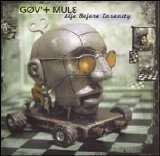 Gov't Mule - Life Before Insanity