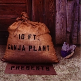 10 Ft. Ganja Plant - Presents