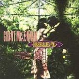 Grant McLennan - Horsebreaker Star