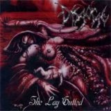 Disgorge - She Lay Gutted