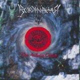 Borknagar - The Archaic Course