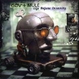 Gov't Mule - Life Before Insanity