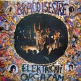 Elektricni Orgazam - Braco i Sestre