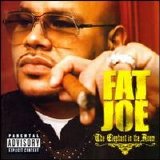 Fat Joe - The Elephant In The Room
