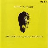 Guided By Voices - Self-Inflicted Aerial Nostalgia