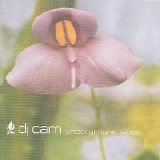 DJ Cam - Underground Vibes