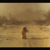 Ben Harper - Diamonds On The Inside