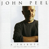 Various Artists - John Peel (A Tribute) (disc 2)