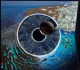 Pink Floyd - Pulse (Disc 2)