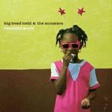 Big Head Todd & The Monsters - - Beautiful World -