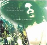 Acid Mothers Temple - acid mothers temple