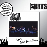 Lynyrd Skynyrd - Lyve From Steel Town