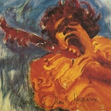 Jimi Hendrix - The Jimi Hendrix Concerts
