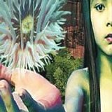Future Sound Of London - Lifeforms