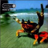 Prodigy - Fat Of The Land