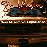 Gin Blossoms - New Miserable Experience