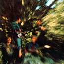 Creedence Clearwater Revival - Bayou Country