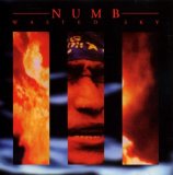 Numb - Wasted Sky
